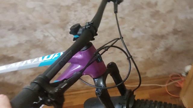 Polygon Xtrada 7 смотреть онлайн
