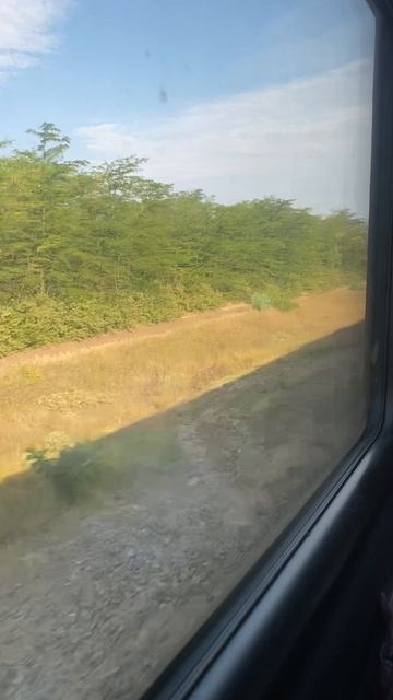 Поезд Таврия! Отличная поездка в Крым!