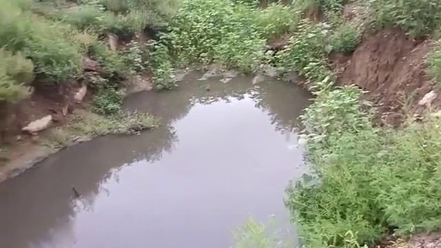 Полтава ул. Курчатова 17-18 - Канализация размыла землю и провал подбирается к фундаменту 9-тиэтажк смотреть онлайн