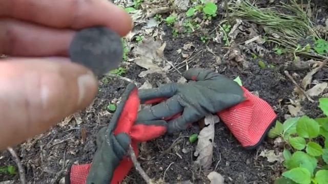 Поиск золота и кладов.Первая серия.Поисковик,кладоискатель.Рассыпуха из монеток смотреть онлайн