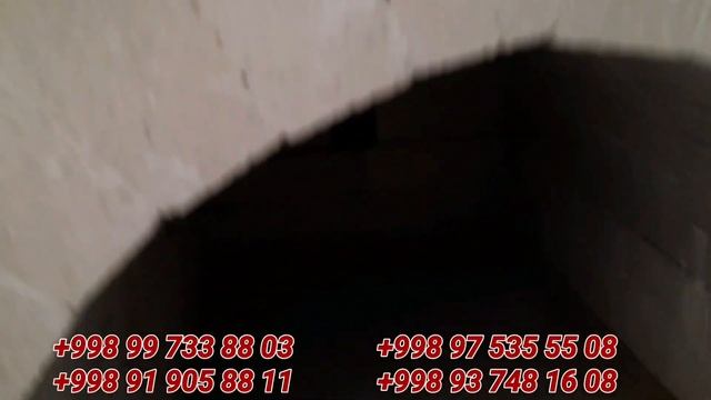 ABILSOFKA VA AGNOUPORNIY G'ISHT NARXLARI SURXONDARYO