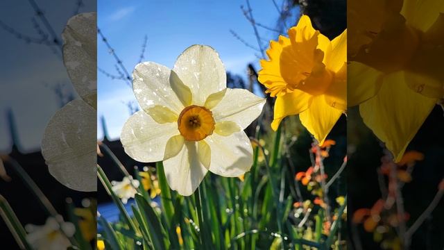 Last Time (feat. Ligan) смотреть онлайн