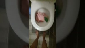 Приколы с детьми. Выбросил в унитаз телефон.