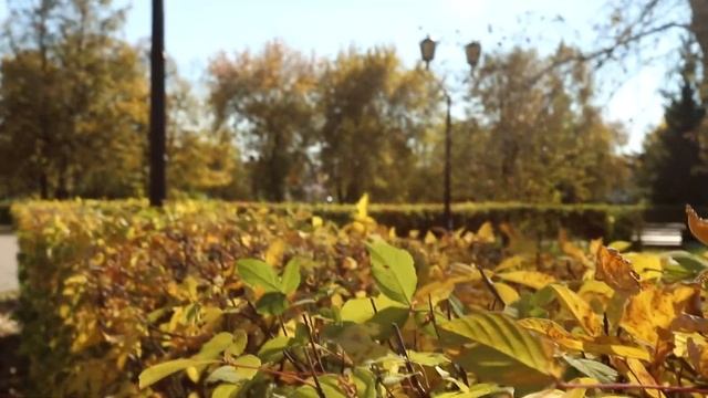 Осень смотреть онлайн