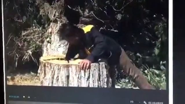 Premiere Pro CC 2019 V 13.1.5 Lag - High Droped Frame And Choppy Playback