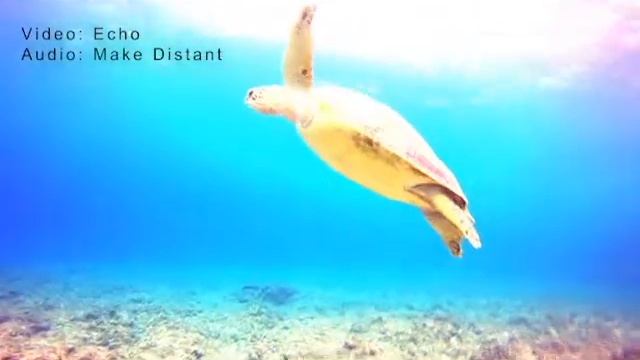 Demo Video Made using Adobe Premiere Pro (by Aleco) смотреть онлайн