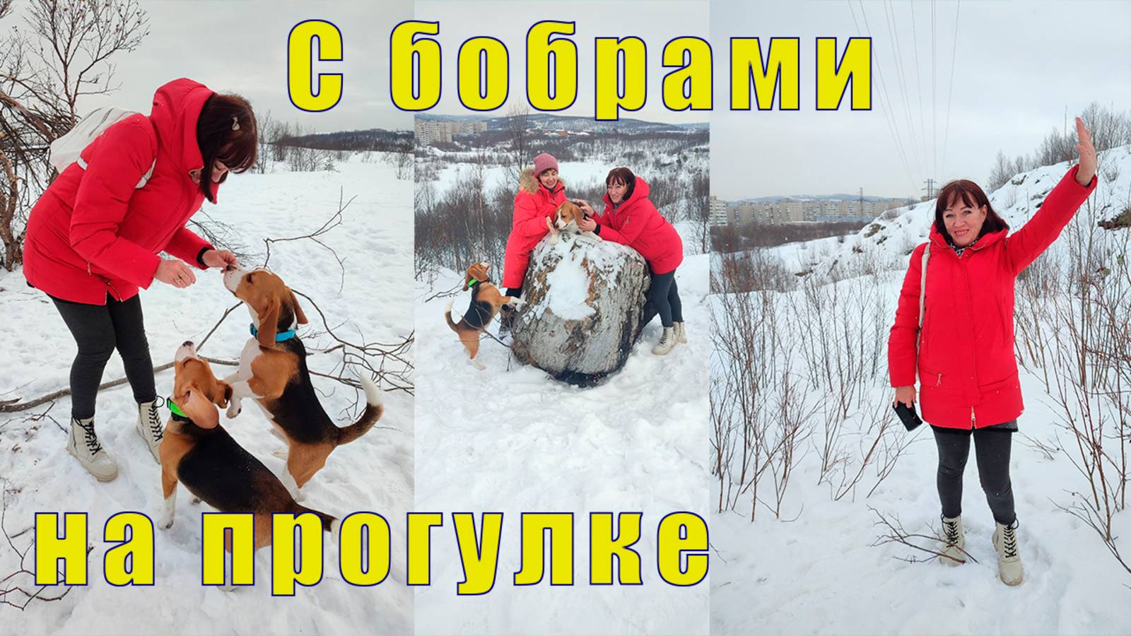 С БОБРАМИ НА ПРОГУЛКЕ /НАГУЛЯЛИ АППЕТИТ /12 марта 2025 смотреть онлайн