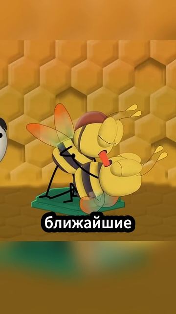 Секрет изготовления меда пчелами_ 🐝 смотреть онлайн