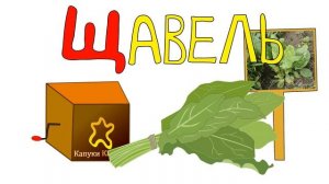 Развивающий мультфильм для детей. Шкатулка с Буквами. Буква Щ