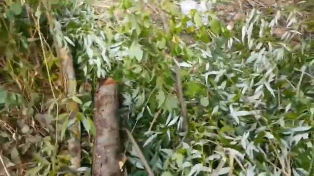 Балкон часть 1 смотреть онлайн