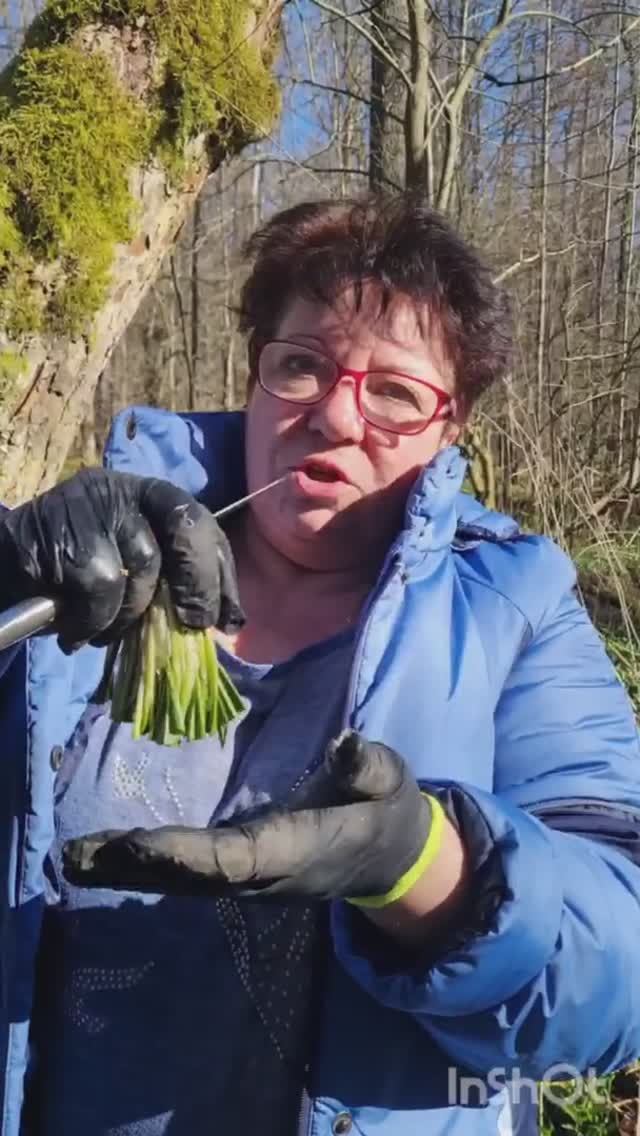 Маринованая ЧЕРЕМША, рецепты грибников из весеннего леса ! #shorts смотреть онлайн