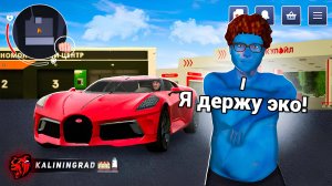 ОН ЗАДОНАТИЛ 10₽ и СТАЛ САМЫМ БОГАТЫМ ИГРОКОМ НА БЛЕК РАША - ВЛАДЕЛЕЦ ЛУЧШИХ БИЗНЕСОВ BLACK RUSSIA