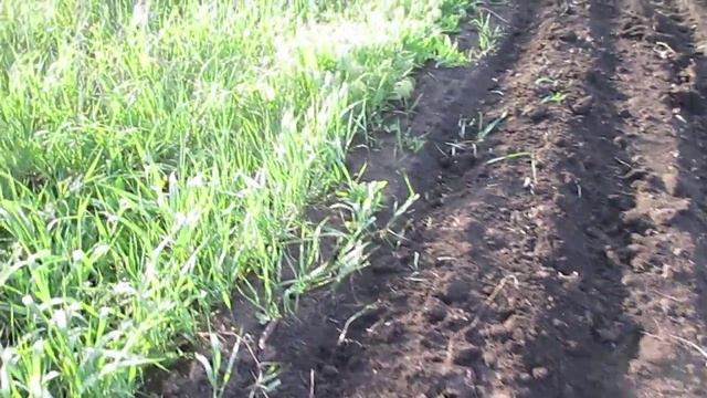 Самодельная сеялка почти No - Till-1 смотреть онлайн