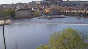 Можно ли есть варенье, если на нем появилась плесень