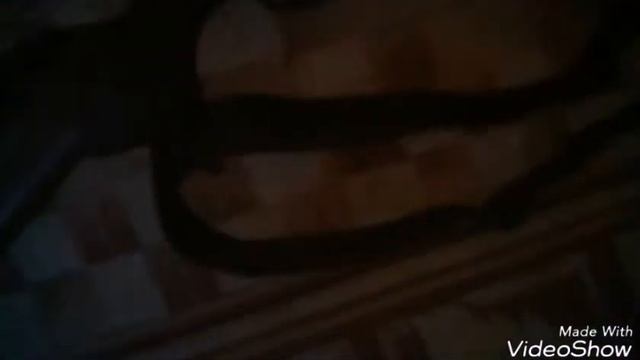 Обзор пневматической винтовки EKOL MAJOR ES450 смотреть онлайн