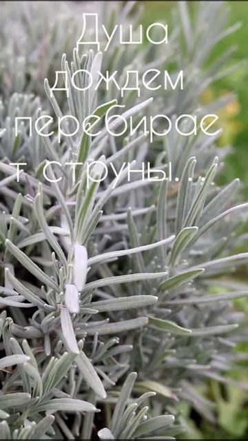 И снова осень... смотреть онлайн