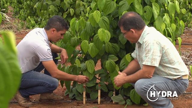 Depoimento | Luiz Fernando - Café e Pimenta смотреть онлайн