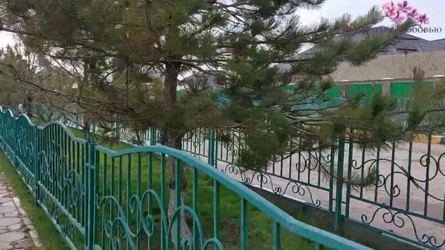Салыкбаева 128, 144 Сосновая аллея рядом с новой площадью. смотреть онлайн