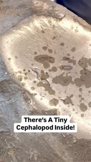 This Rock Was Lurking In The Water_ 🏝️