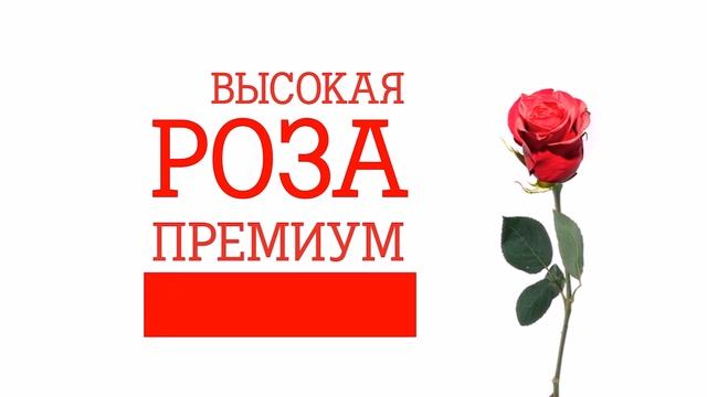 Лимон ТВ, Здесь и сейчас 28.10.2015 смотреть онлайн