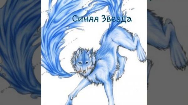 Коты Воители в виде волков