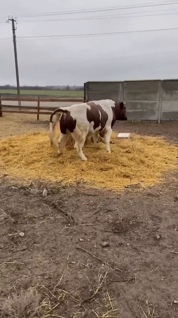 18 января 2025 г смотреть онлайн