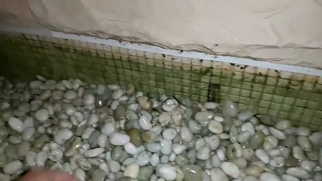 How to: cleaning a fishpond using KARCHER K7 2 of 2 смотреть онлайн