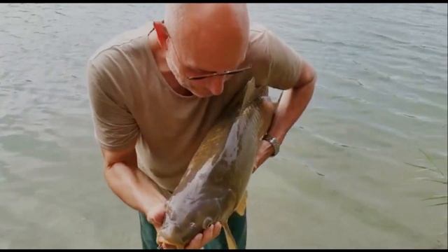 Three days and nights camping with carp fishing. Drei Tage und Nächte Camping mit Karpfenangeln. смотреть онлайн