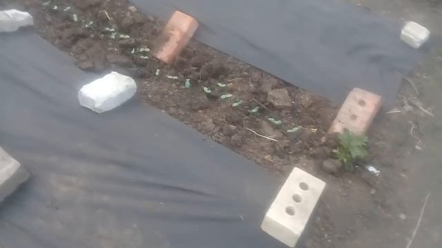 УСПЕЛ ДО ТРОИЦЫ. смотреть онлайн