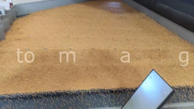 Вибропневмостол ВПСЗ-2 с боковым сбросом и аспирацией (Gravity separator). Продукт испытания: просо смотреть онлайн