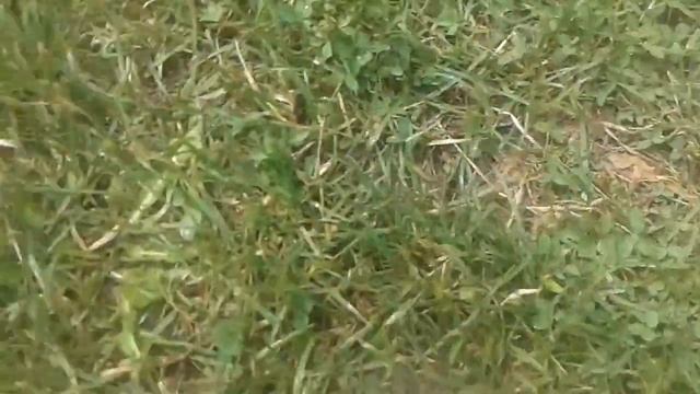 Hjfh смотреть онлайн