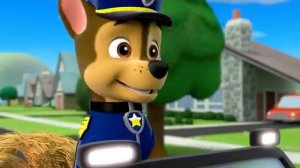 Щенячий патруль | Приключения Щенячьего патруля с детенышами животных! С Маршаллом | Nick Jr.