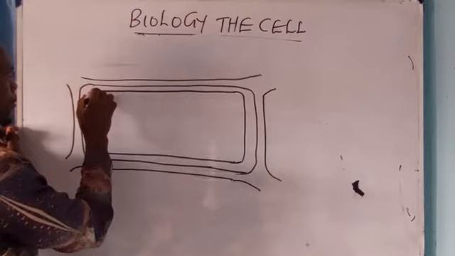 JAMB LIKELY QUESTIONS ON CELL. PLEASE SUBSCRIBE AND SHARE смотреть онлайн