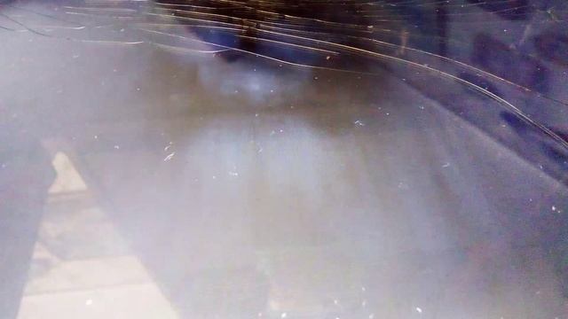 Ночная охота львиного прайда на африканских буйволов.