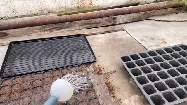 Вирощування в кассетах на підвіконні ! смотреть онлайн