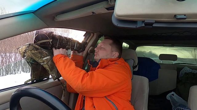 Фотоохота на сов, март