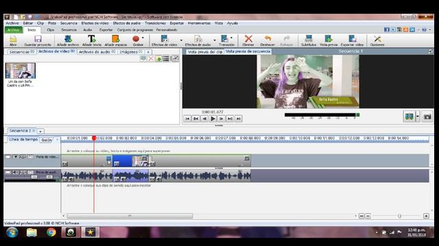 COMO EDITAR UN VIDEO EN VIDEOPAD (pasos fáciles para tu primer vídeo) смотреть онлайн
