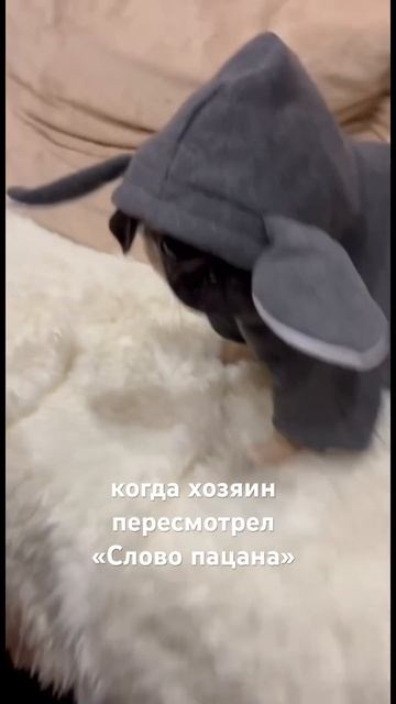 Маленькие снаружи, сильные внутри 💪🏻😂 смотреть онлайн