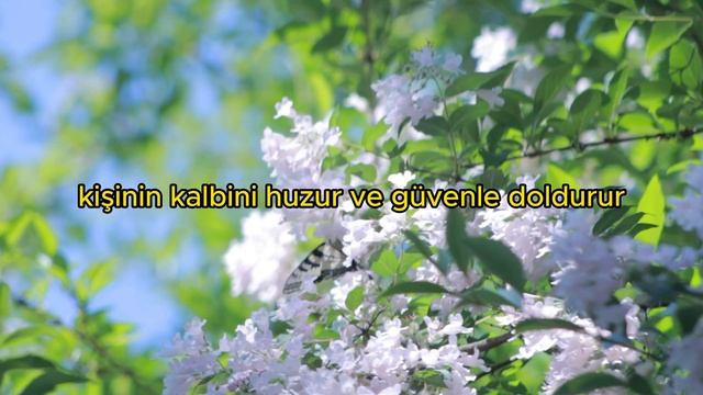 YA REZZAK İSMİ ŞERİFİ - SIRLARI VE FAZİLETLERİ- ESMAÜL HÜSNA смотреть онлайн