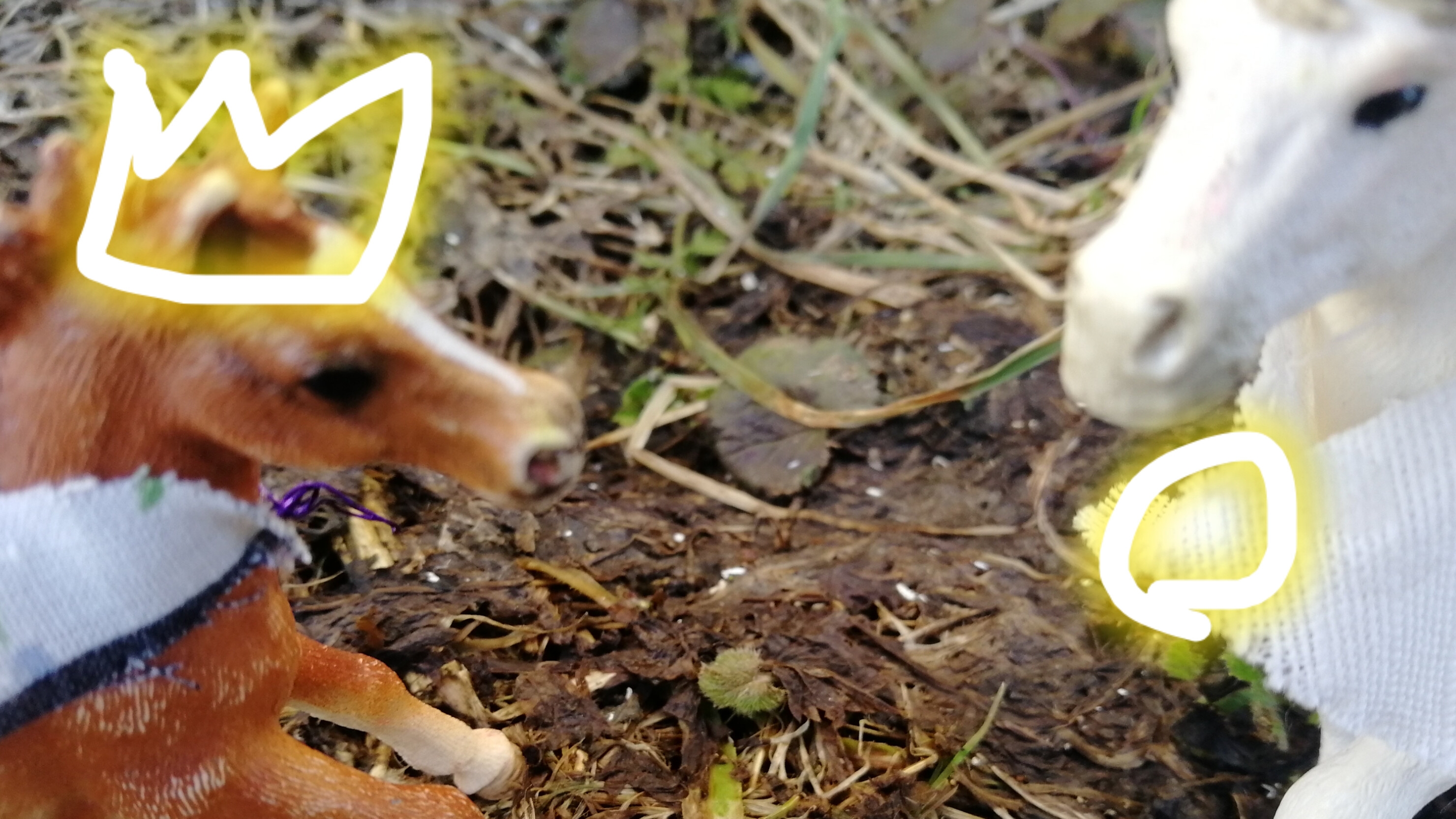 Сериал отрят Хайгая 8серия