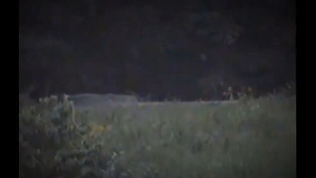 ТОП 5 ПАРАНОРМАЛЬНЫХ ЯВЛЕНИЙ, СНЯТЫХ НА КАМЕРУ смотреть онлайн