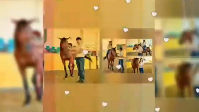 Қазалы Талғат&Гулфа смотреть онлайн