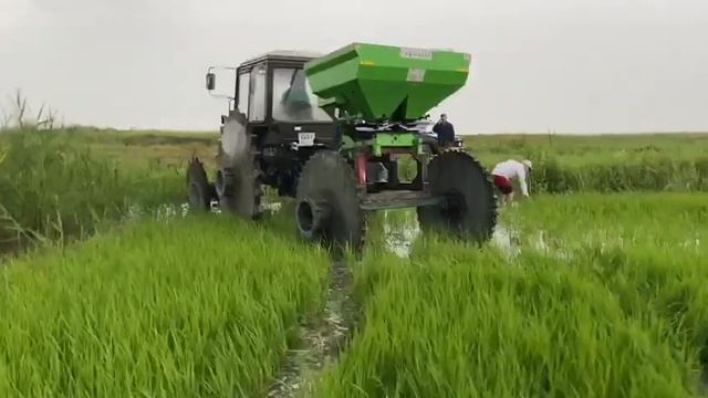 Рисовые колеса МТЗ-82 и прицеп смотреть онлайн