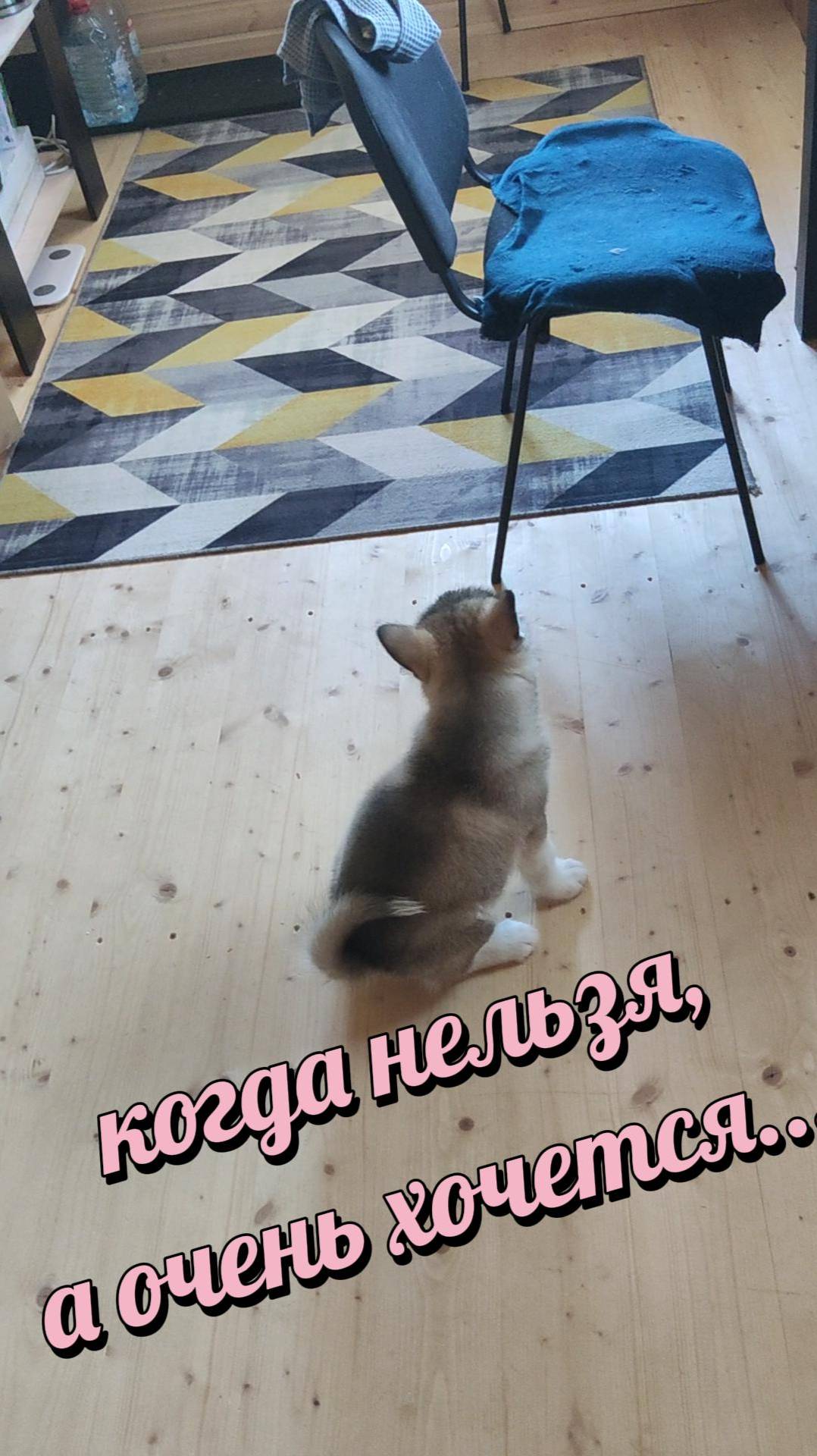 Памир и Банда