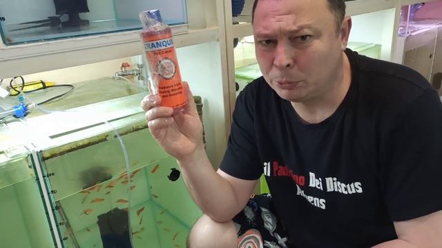 можно ли брать дискуса руками ? смотреть онлайн