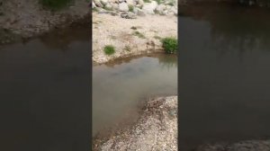 Краснодарский край.             Пляж Мысхако.