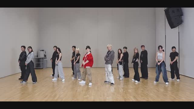 HOSHI X WOOZI - STUPID IDIOT Dance Practice MIRRORED смотреть онлайн