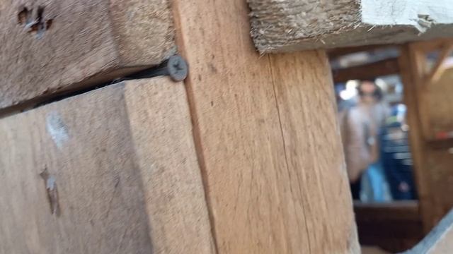 И снова здравствуйте🖐🤗// контактный зоопарк//прогулка по парку смотреть онлайн