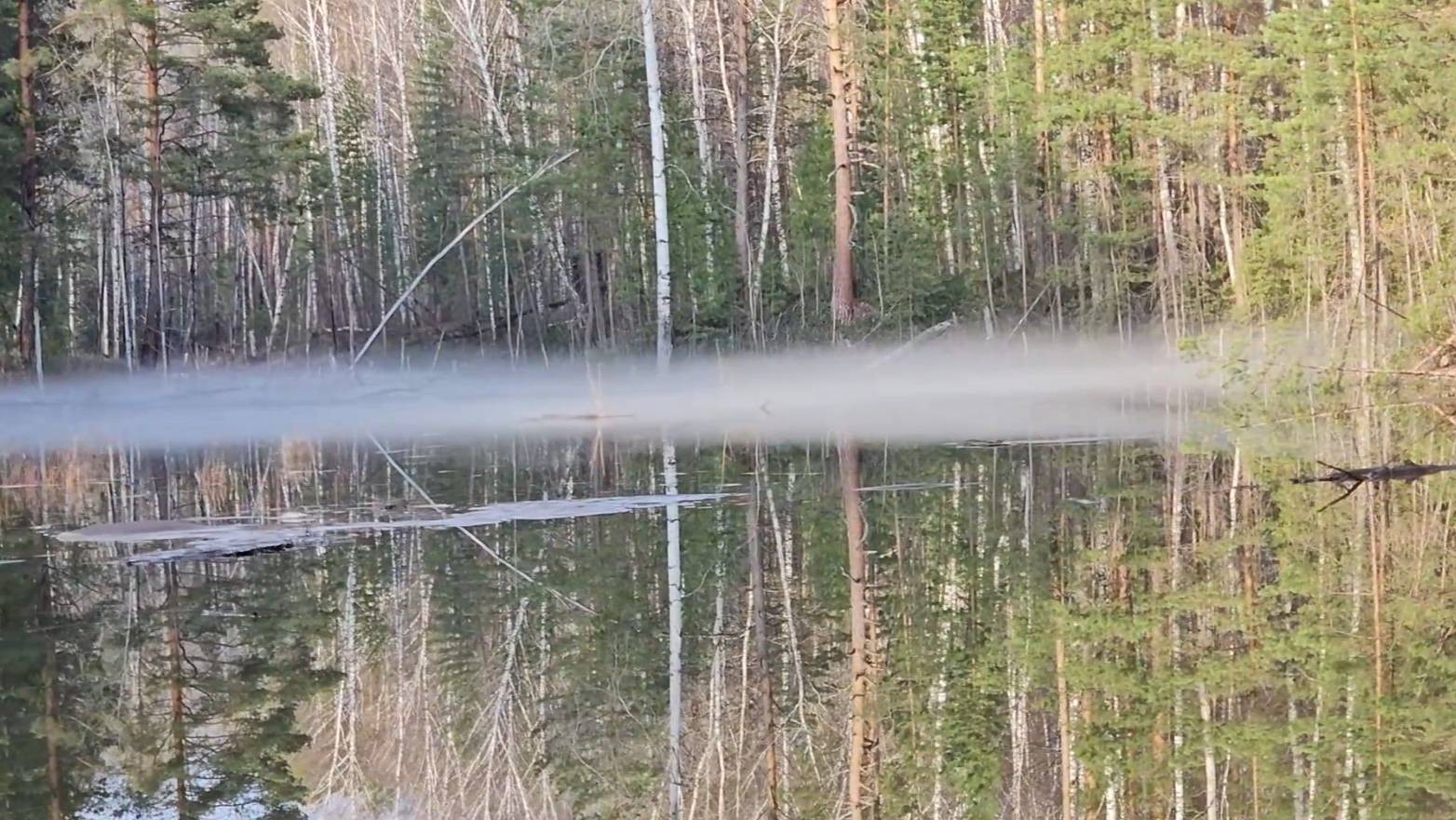 В тайгу смотреть онлайн