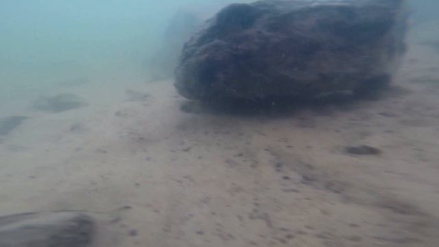 Rio xingu L15 L47 L255 and L116 in the wild смотреть онлайн